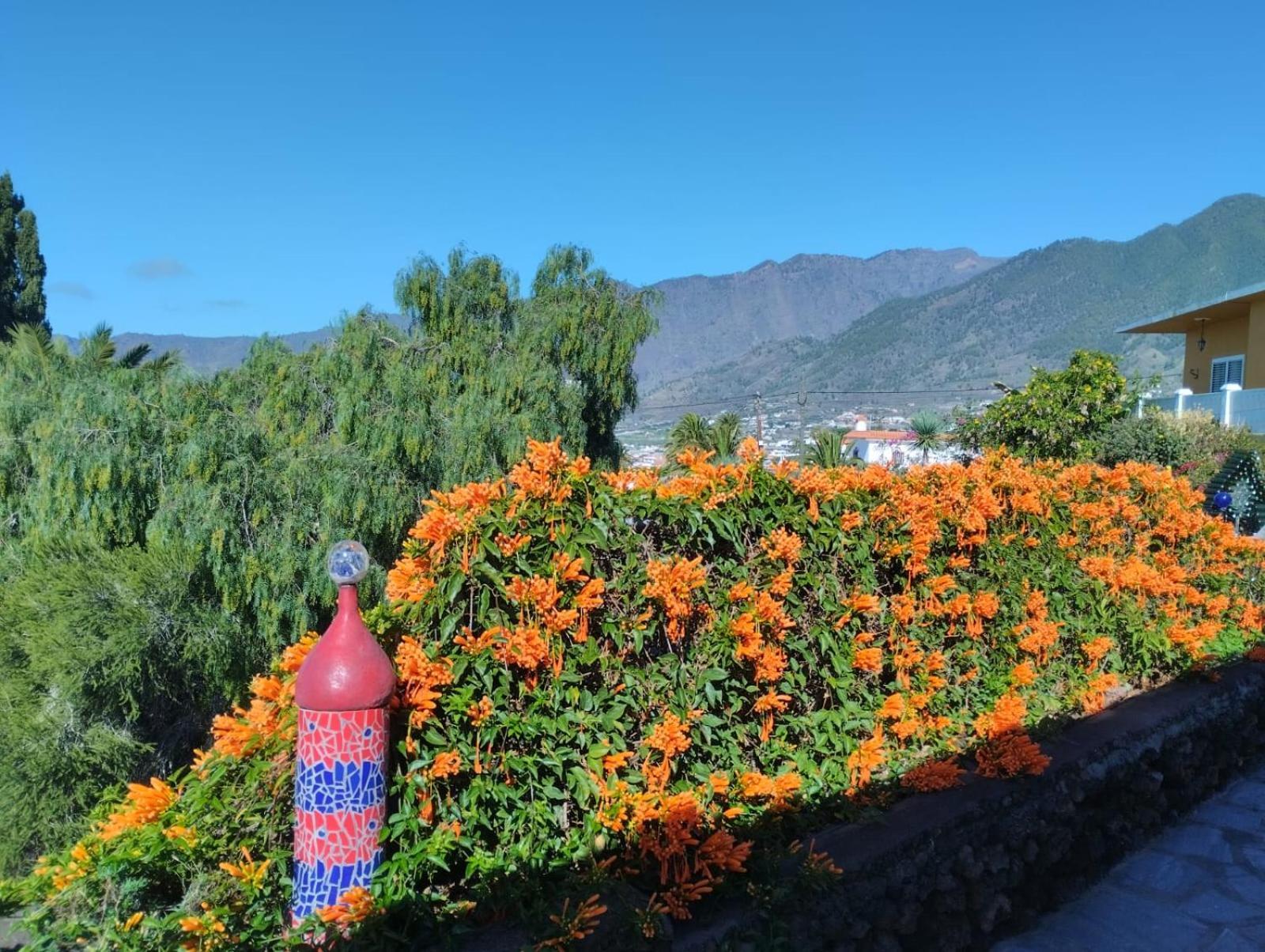 Casa Mosaico, Sunset And Garden Διαμέρισμα Los Llanos De Aridane Εξωτερικό φωτογραφία